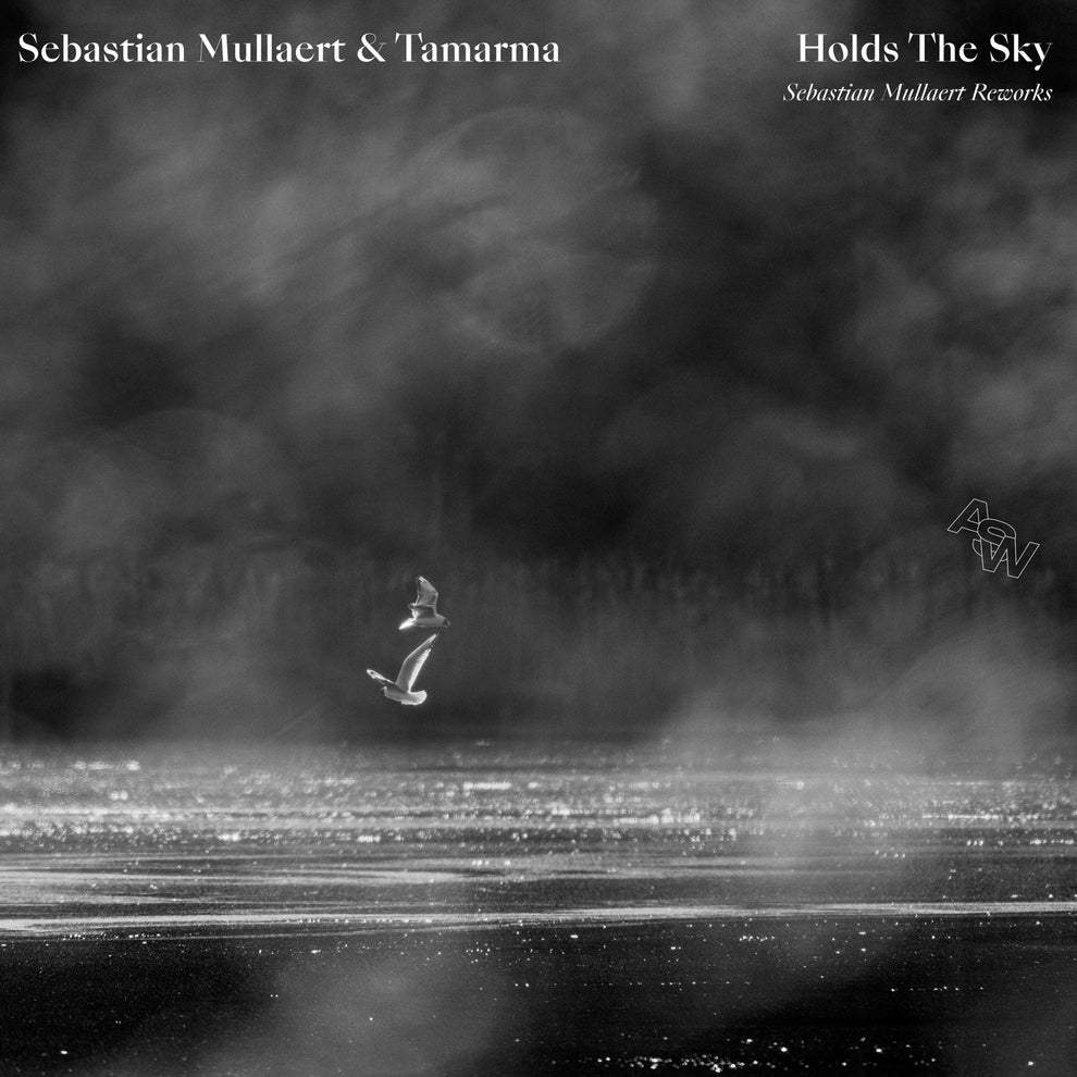 Sebastian Mullaert - Holds The Sky
