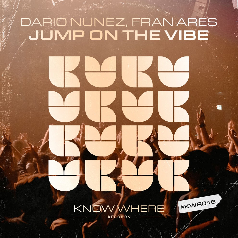 Dario Nunez Fran Ares - Jump On The Vibe