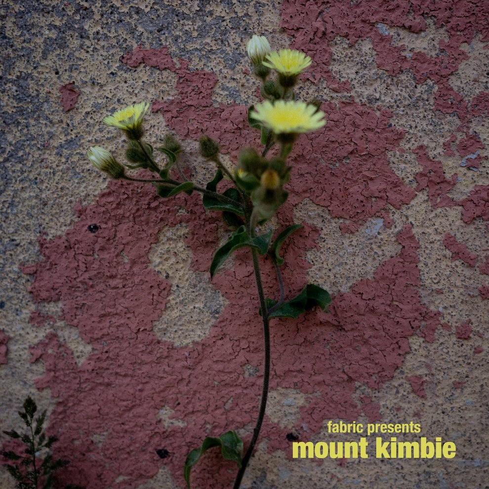 David Duriez - fabric presents Mount Kimbie