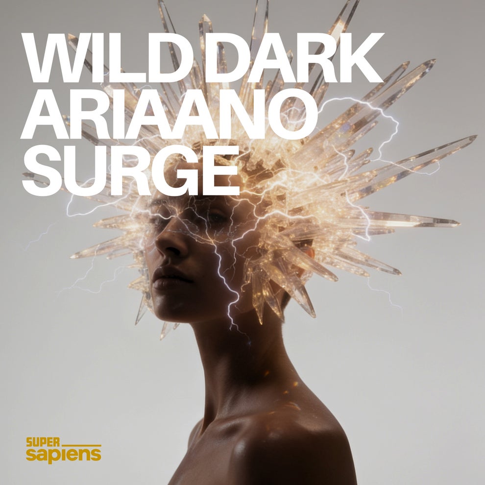 Wild Dark - Surge