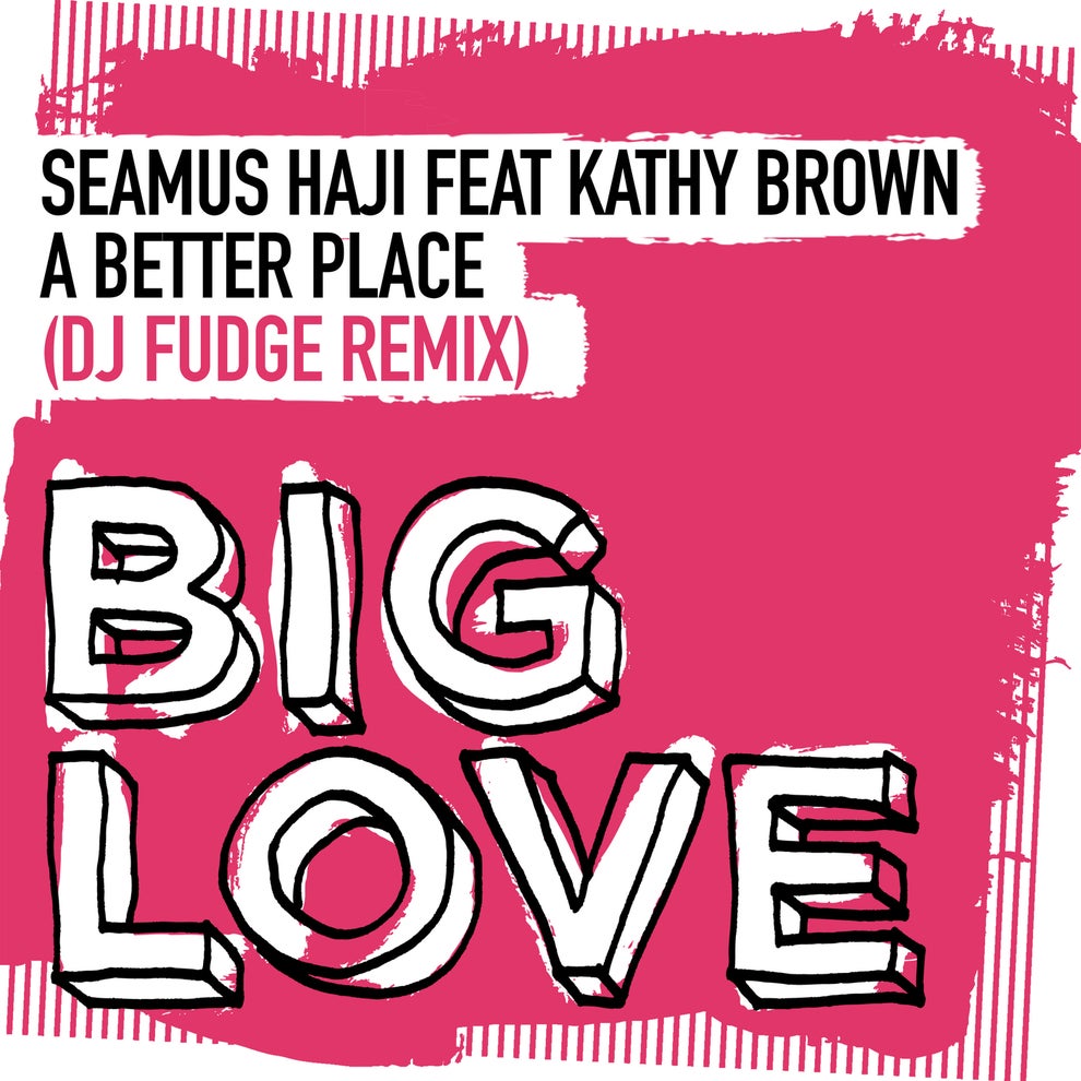 Seamus Haji Kathy Brown - A Better Place (DJ Fudge Remix)