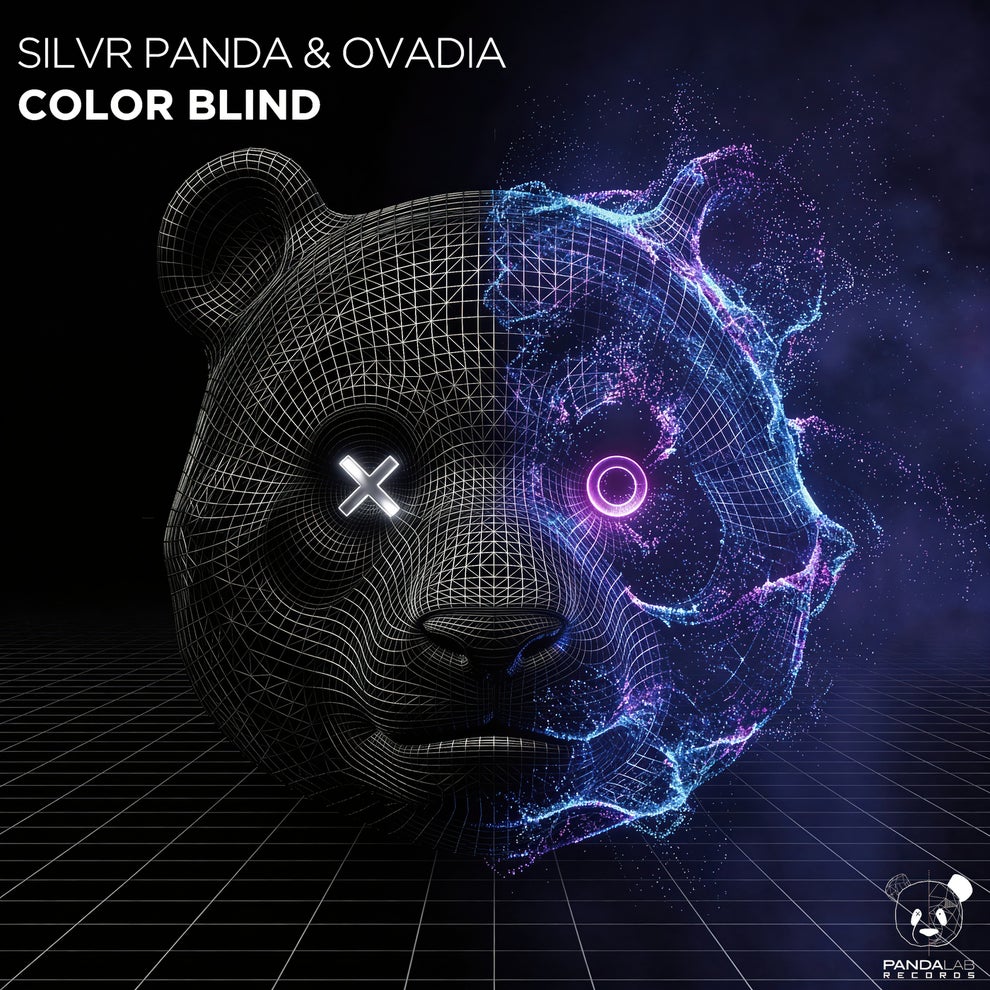 Silver Panda & Ovadia - Color Blind