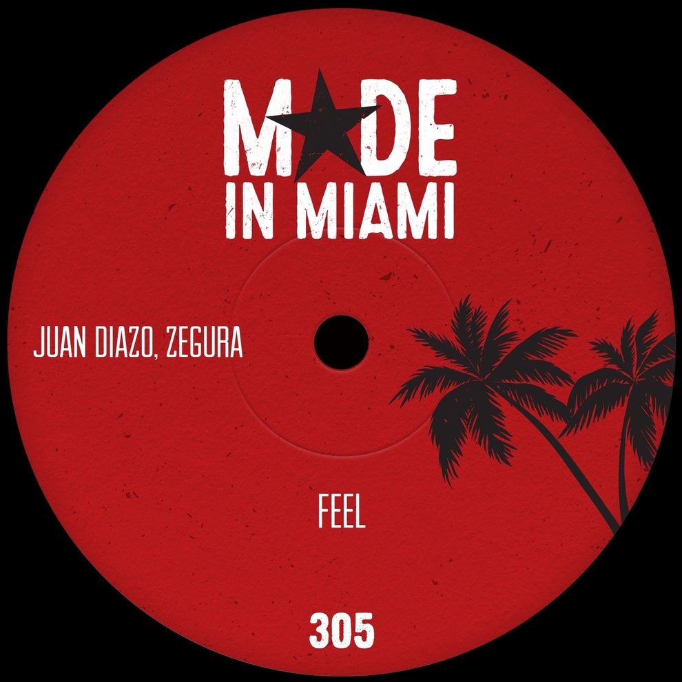 Juan Diazo Zegura - Feel