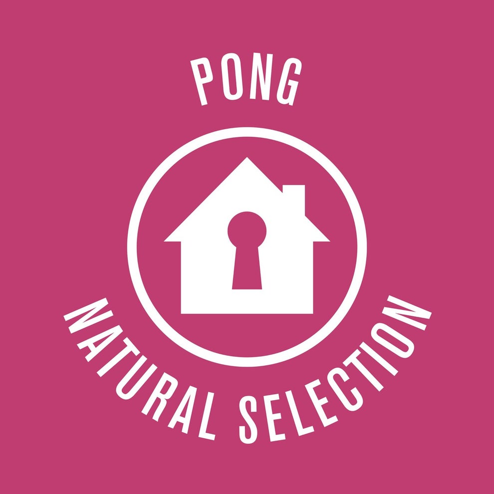 Pong - Natural Selection EP
