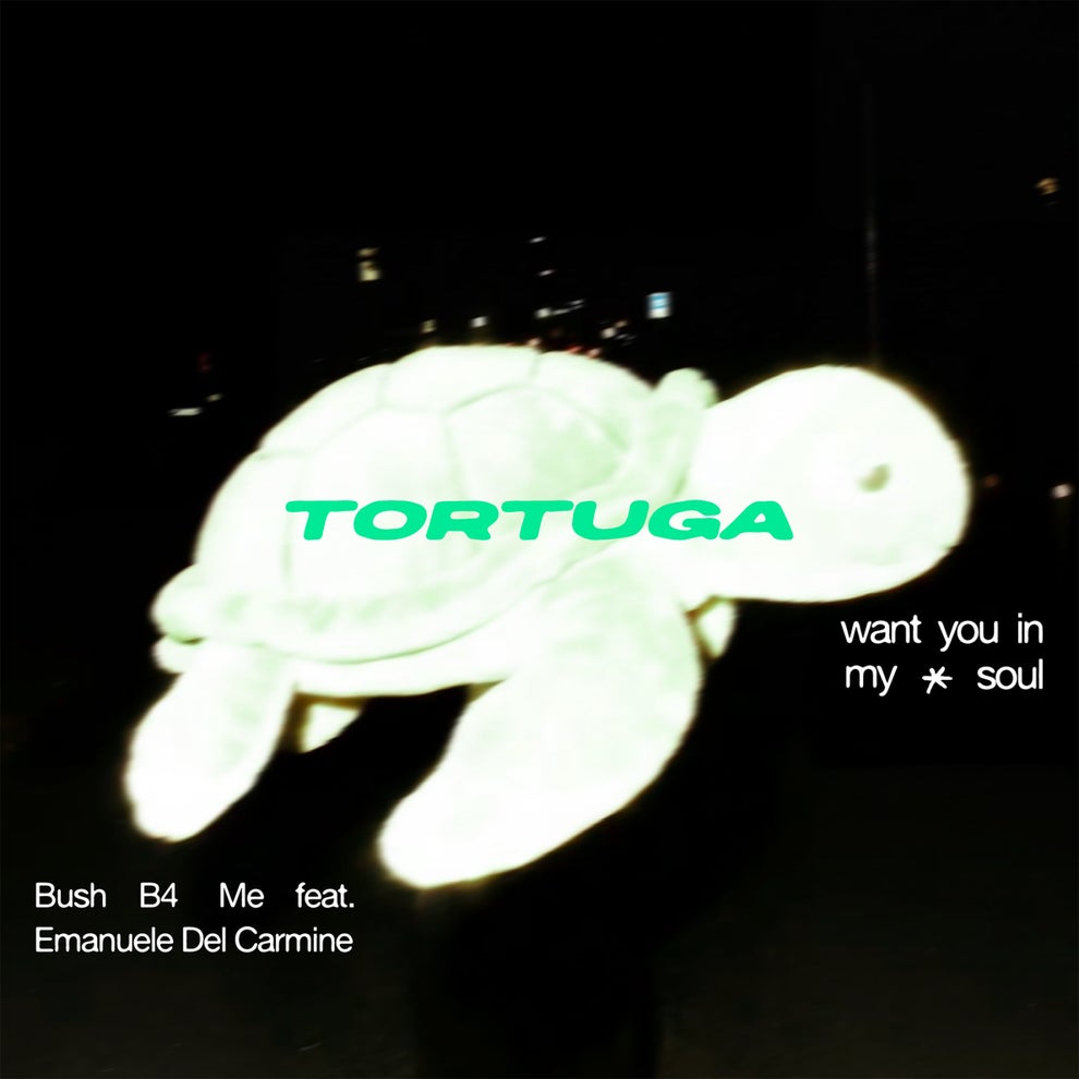 Emanuele Del Carmine Bush B4 Me - Want You In My Soul