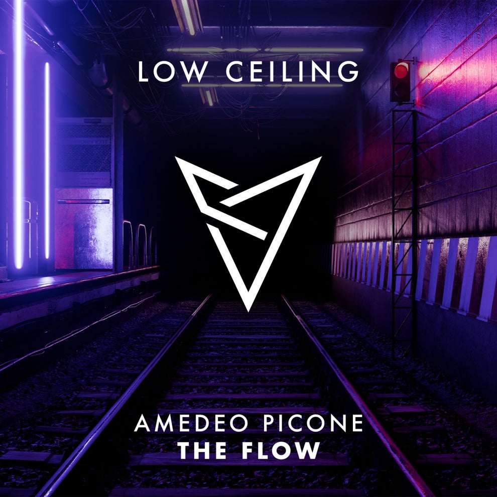 Amedeo Picone - THE FLOW