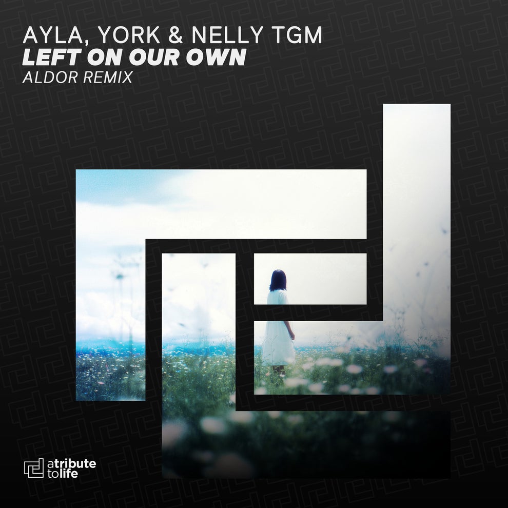 Ayla York  NELLY TGM - Left On Our Own (Aldor Remix)