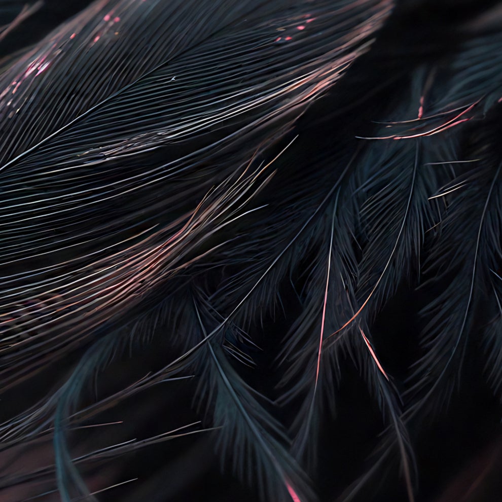 f3a763a7-18ed-4d62-9275-8d35ec668866.jpg