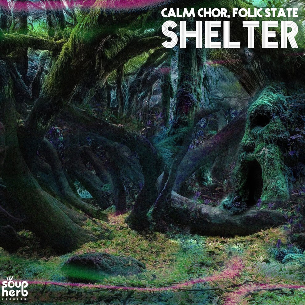 Calm Chor Folic State - Shelter