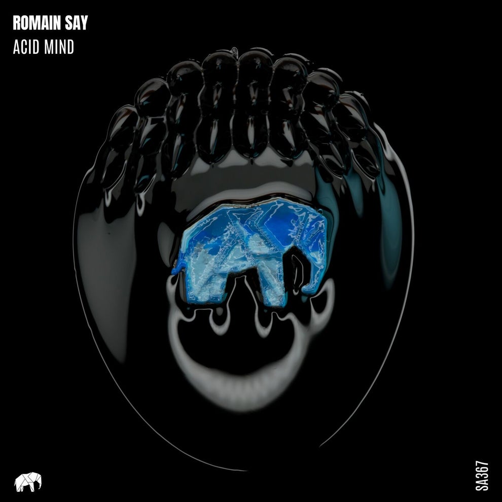 Romain Say - Acid Mind