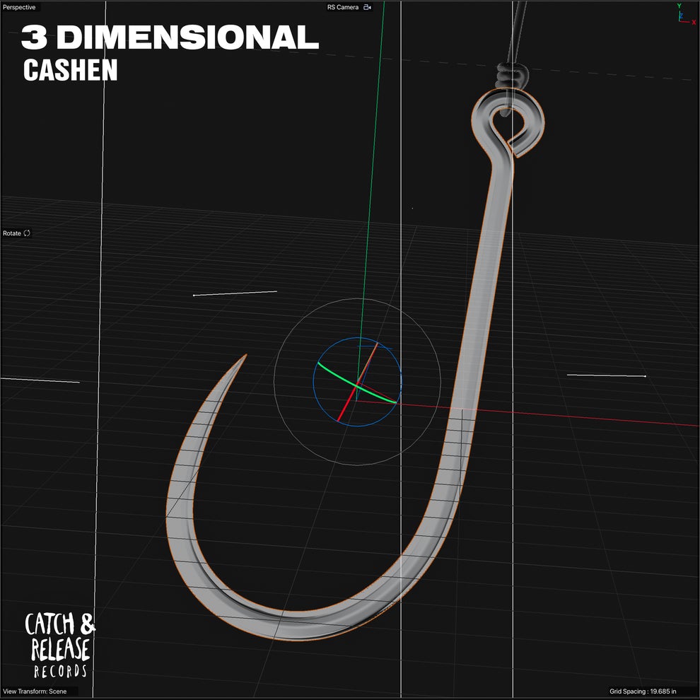 Cashen - 3 Dimensional