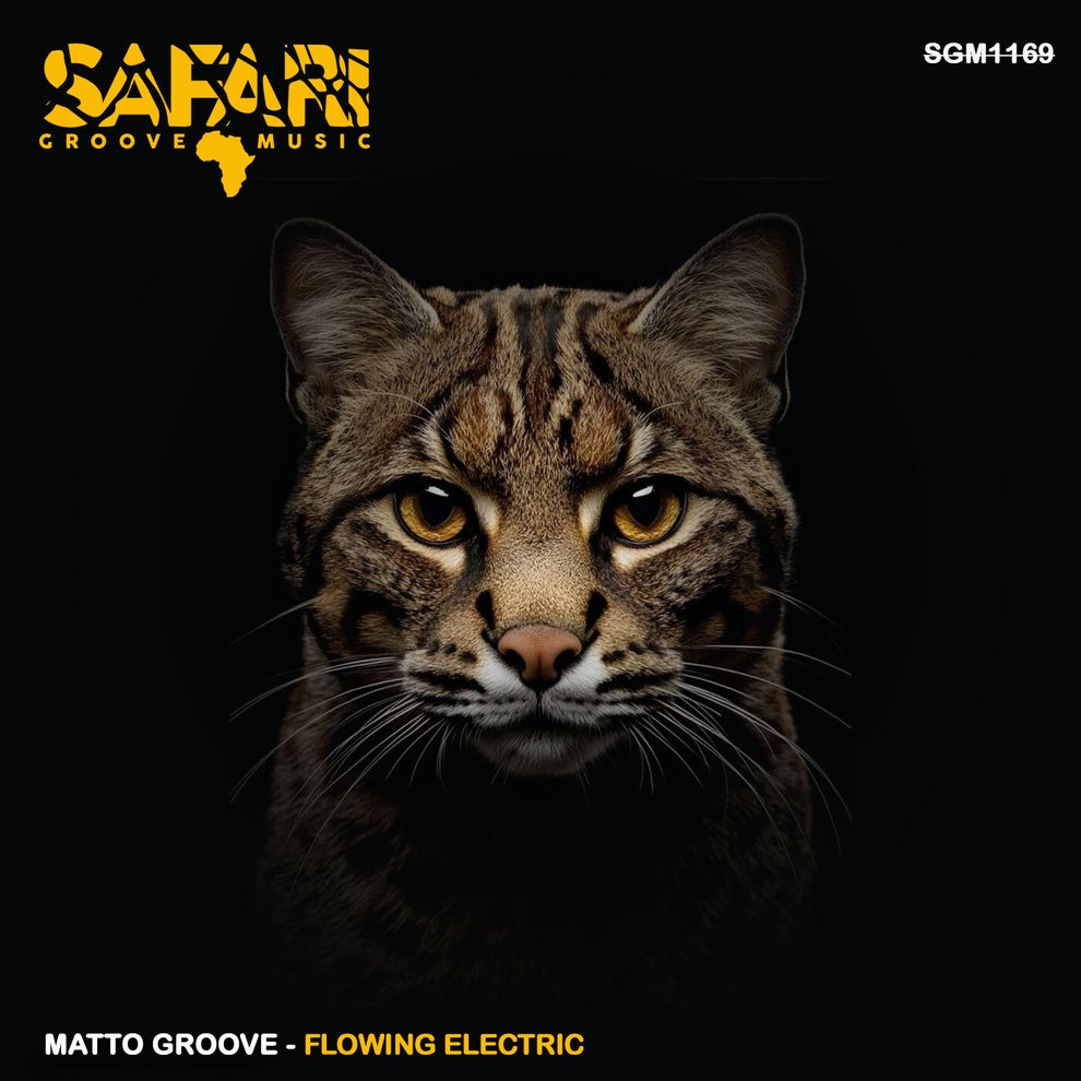 MATTO GROOVE - Flowing Electric