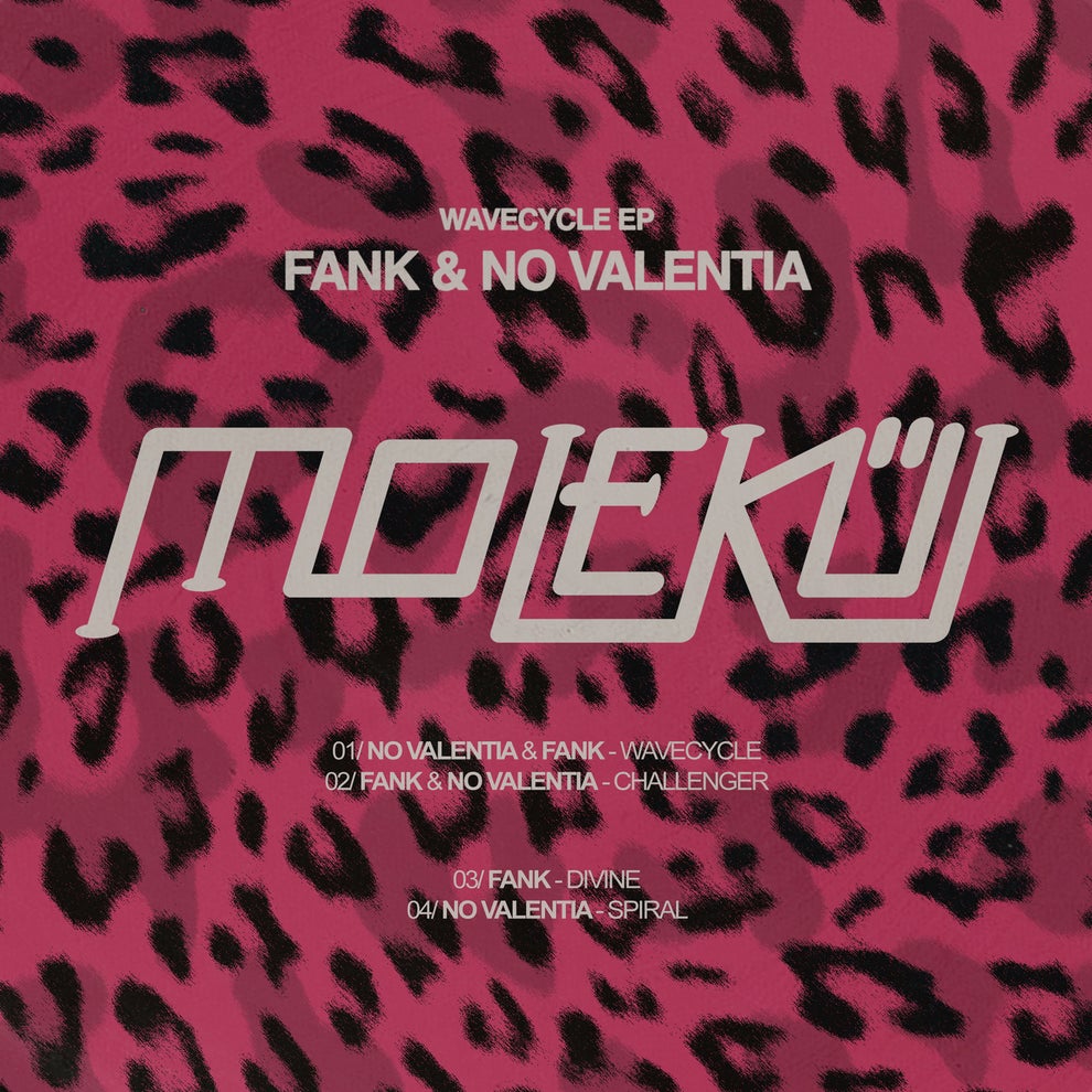 Fank No Valentia - Wavecycle
