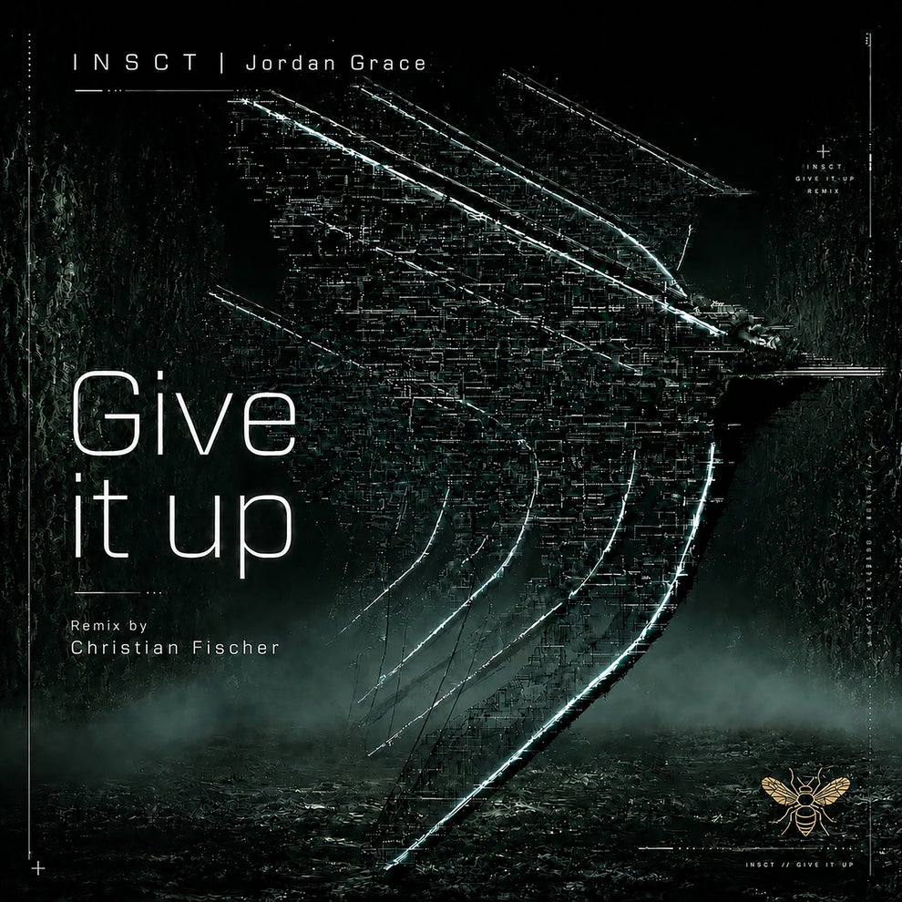 Insct - Give it UP (Christian Fischer Remix)