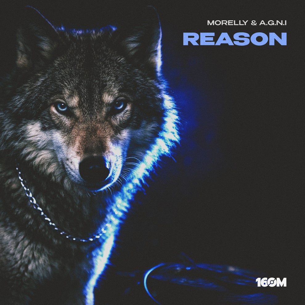 Morelly, A.G.N.I - Reason