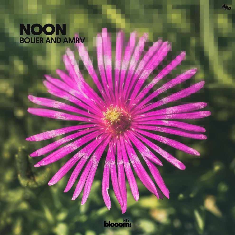 Bolier AMRV - Noon