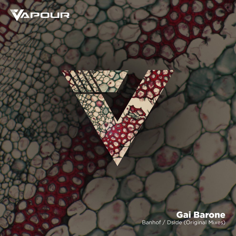 Gai Barone - Banhof - Dside