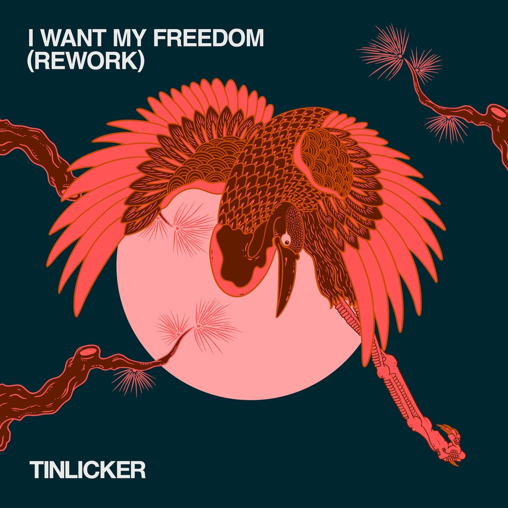 Tinlicker Hero Baldwin - I Want My Freedom (Rework - Extended Version)