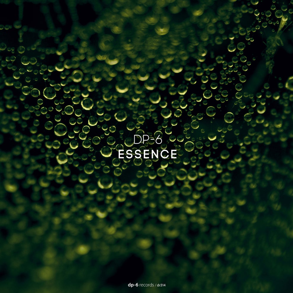 DP-6 - Essence