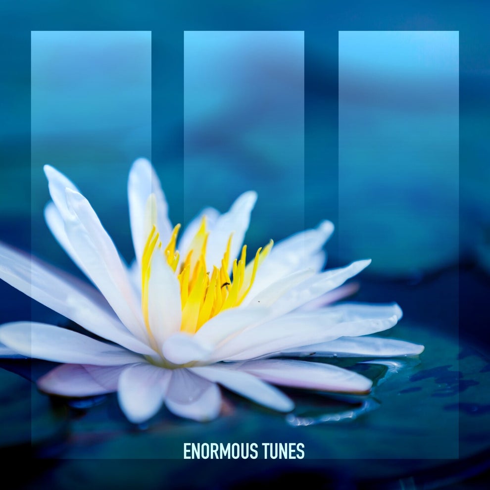 Daniel Portman - White Lotus