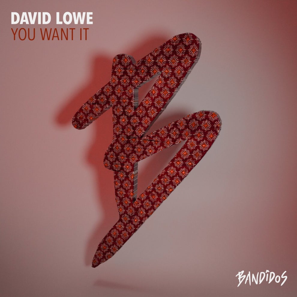 David Lowe - You Want It