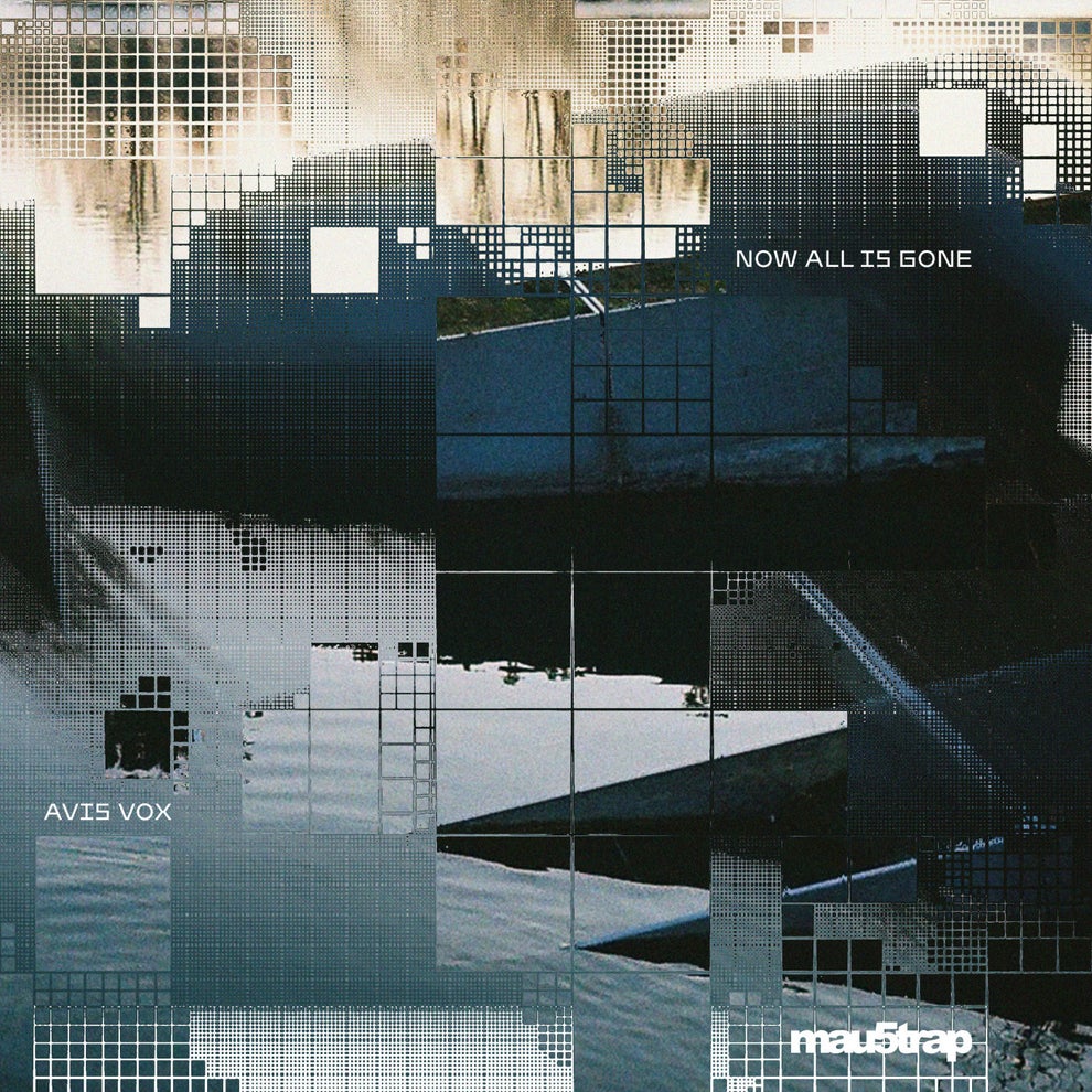 Avis Vox - Now All Is Gone