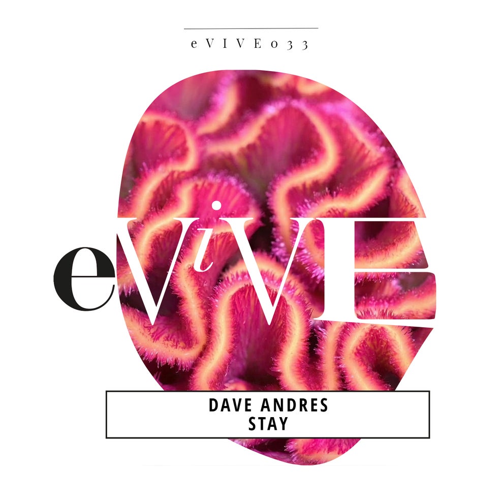 Dave Andres - Stay