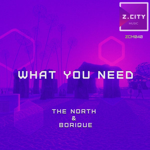 The North BoriQue - What You Need