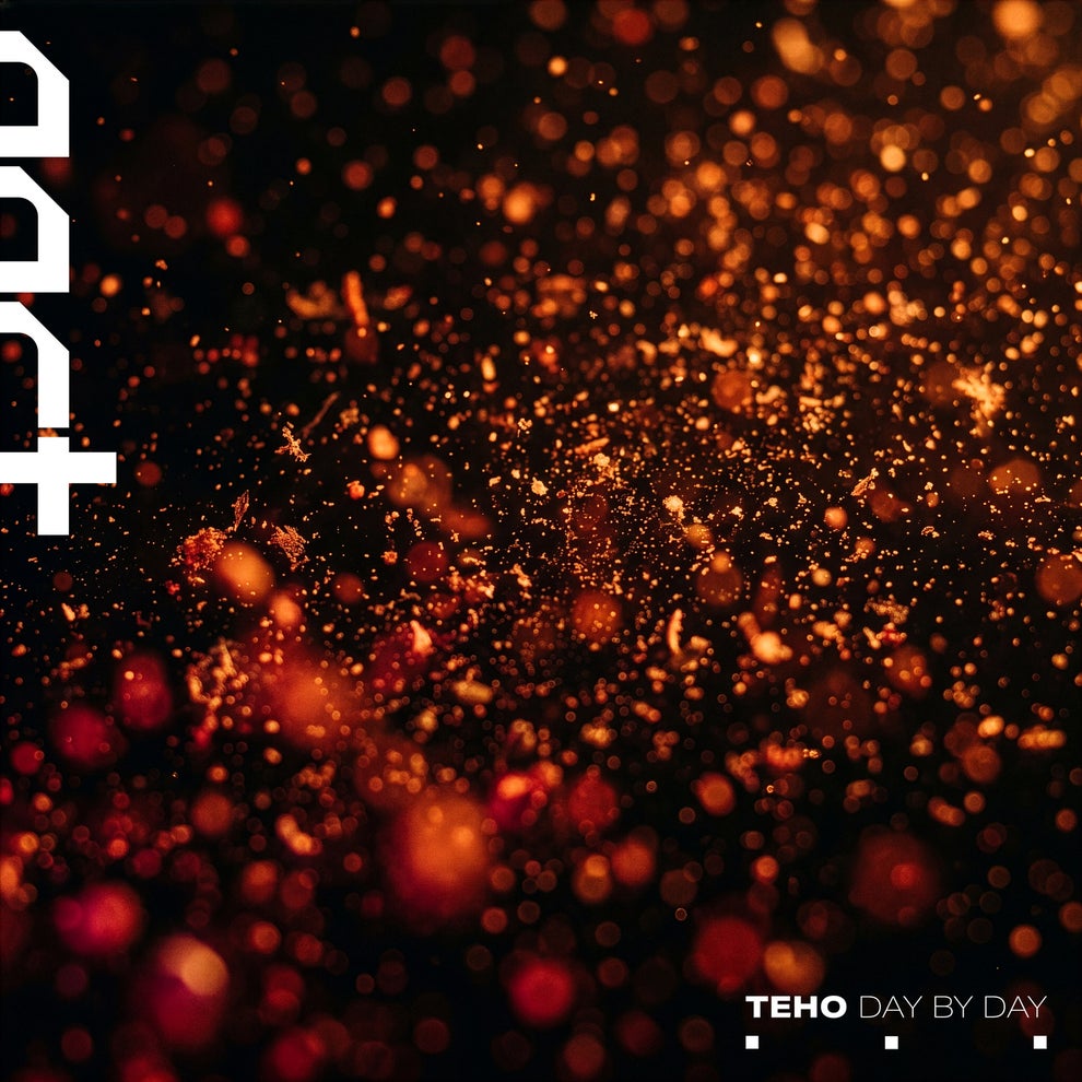 Teho PACT team - Day by Day