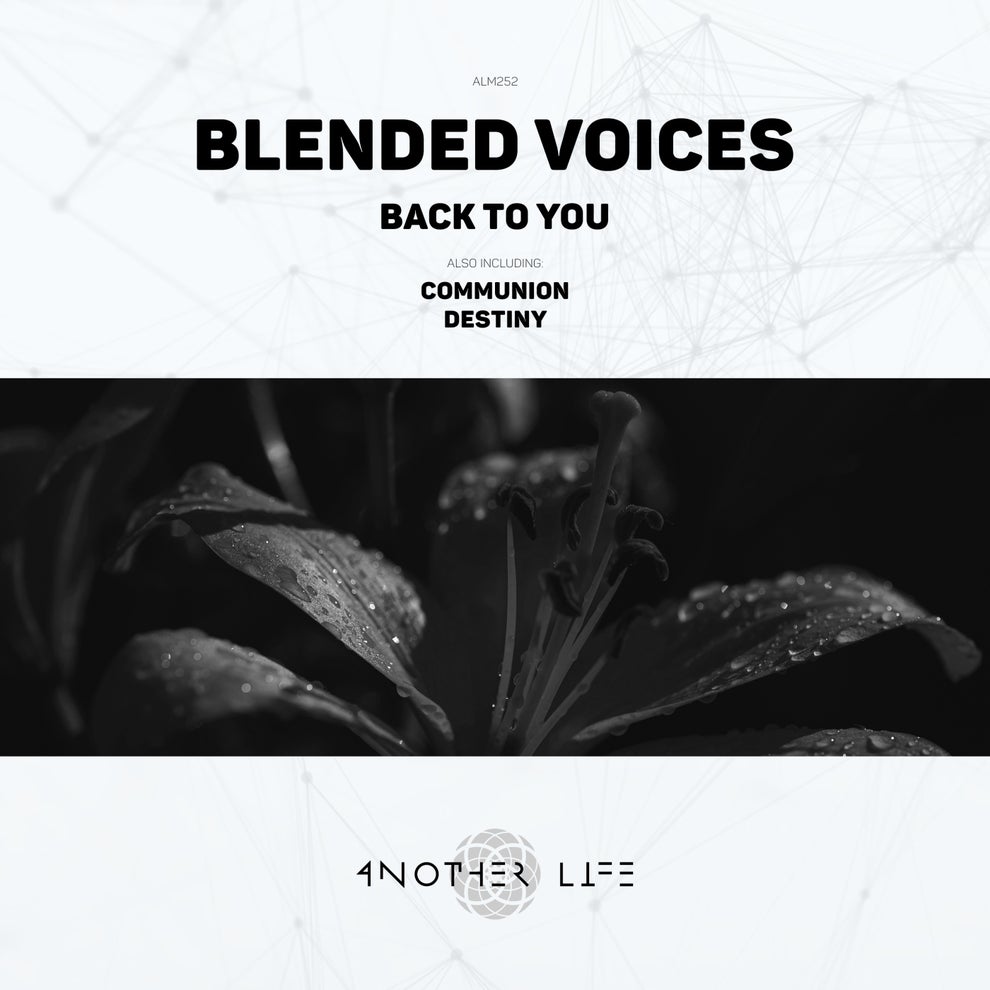 Blended Voices - Back to You