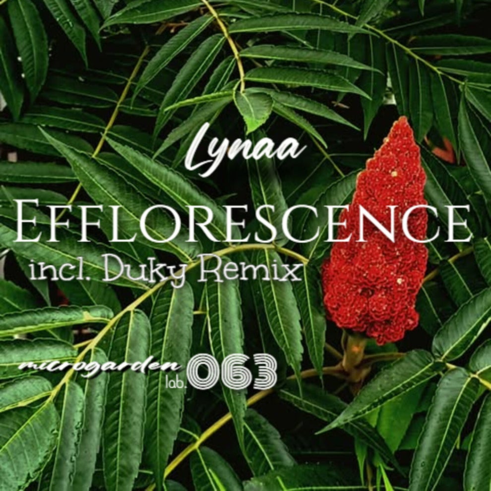 LYNAA - Efflorescence EP
