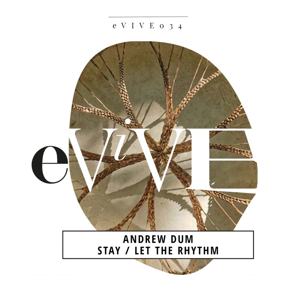 Andrew Dum - Stay - Let The Rhythm