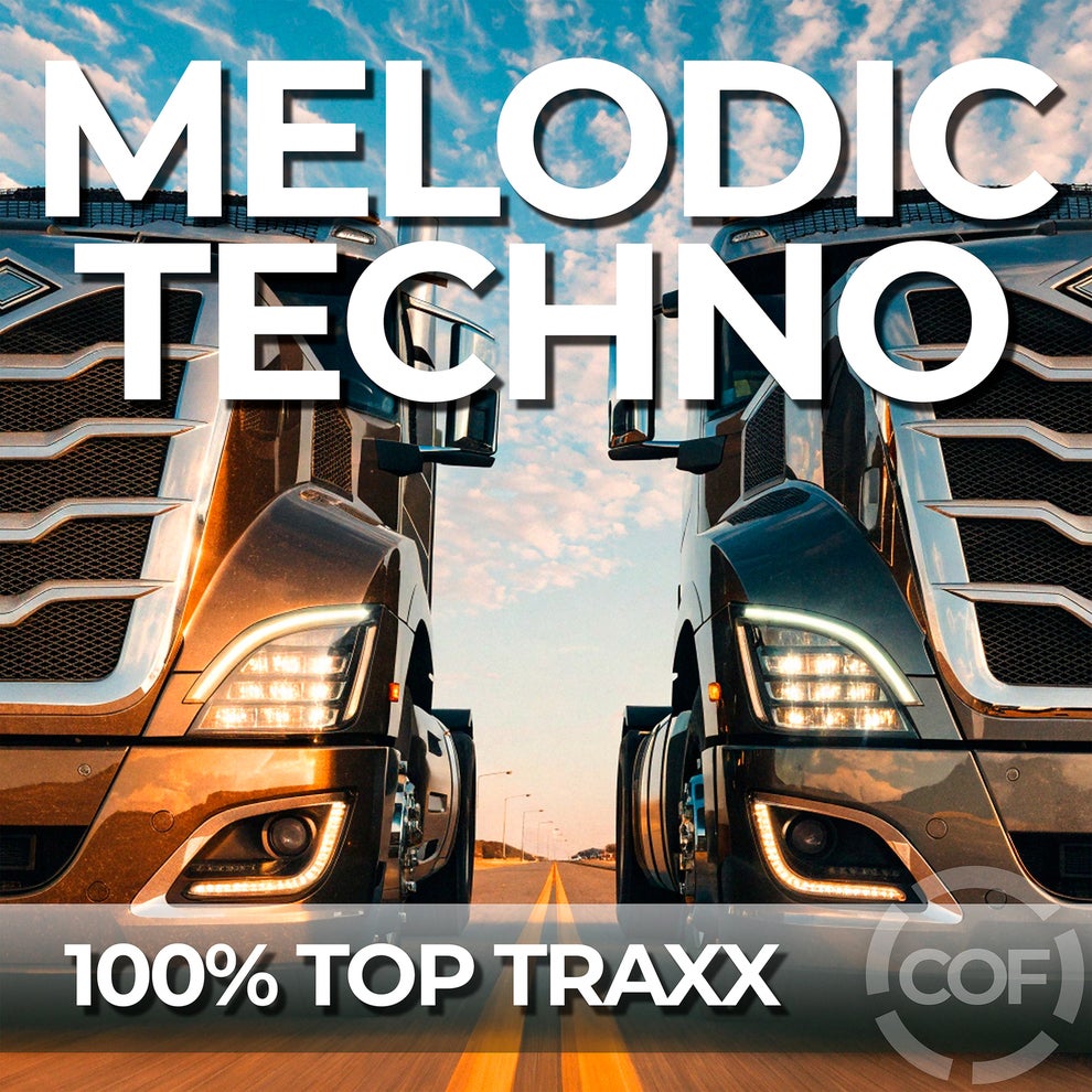 VA - Melodic Techno 06