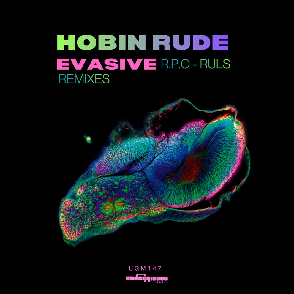 Hobin Rude - Evasive