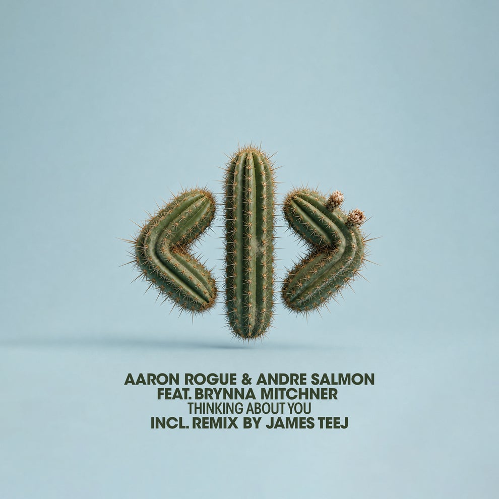 Aaron Rogue Andre Salmon Brynna Mitchner - Thinking About You
