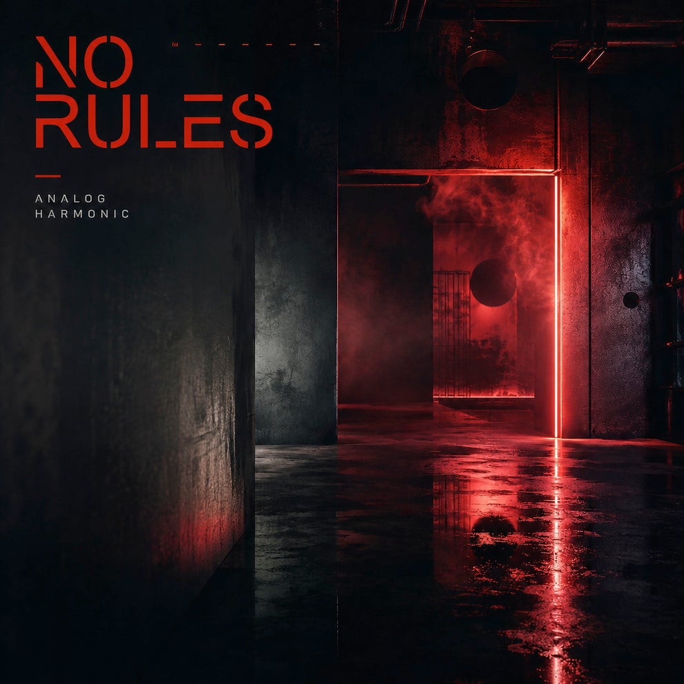 Analog Harmonic - No Rules