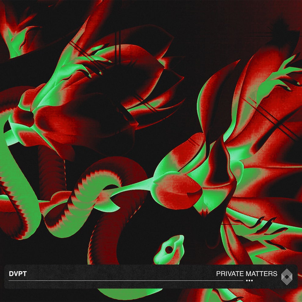 DVPT - Private Matters