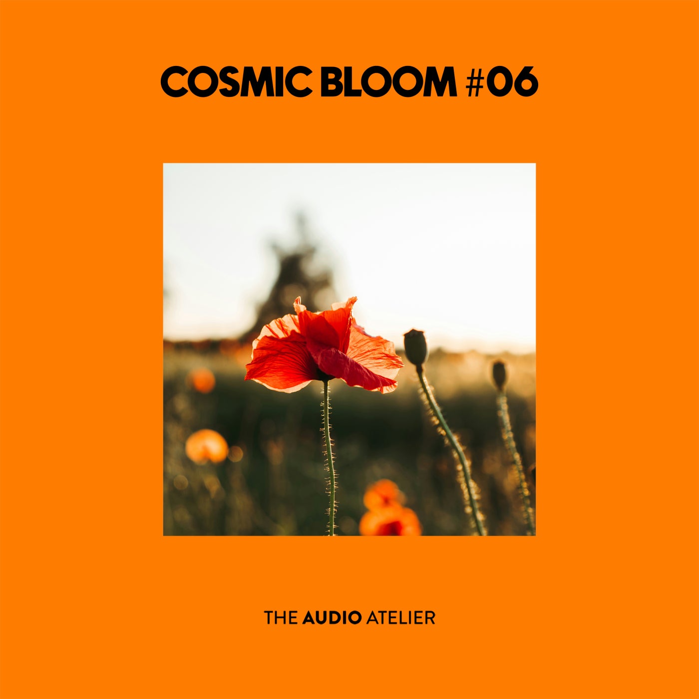 VA - Cosmic Bloom #06