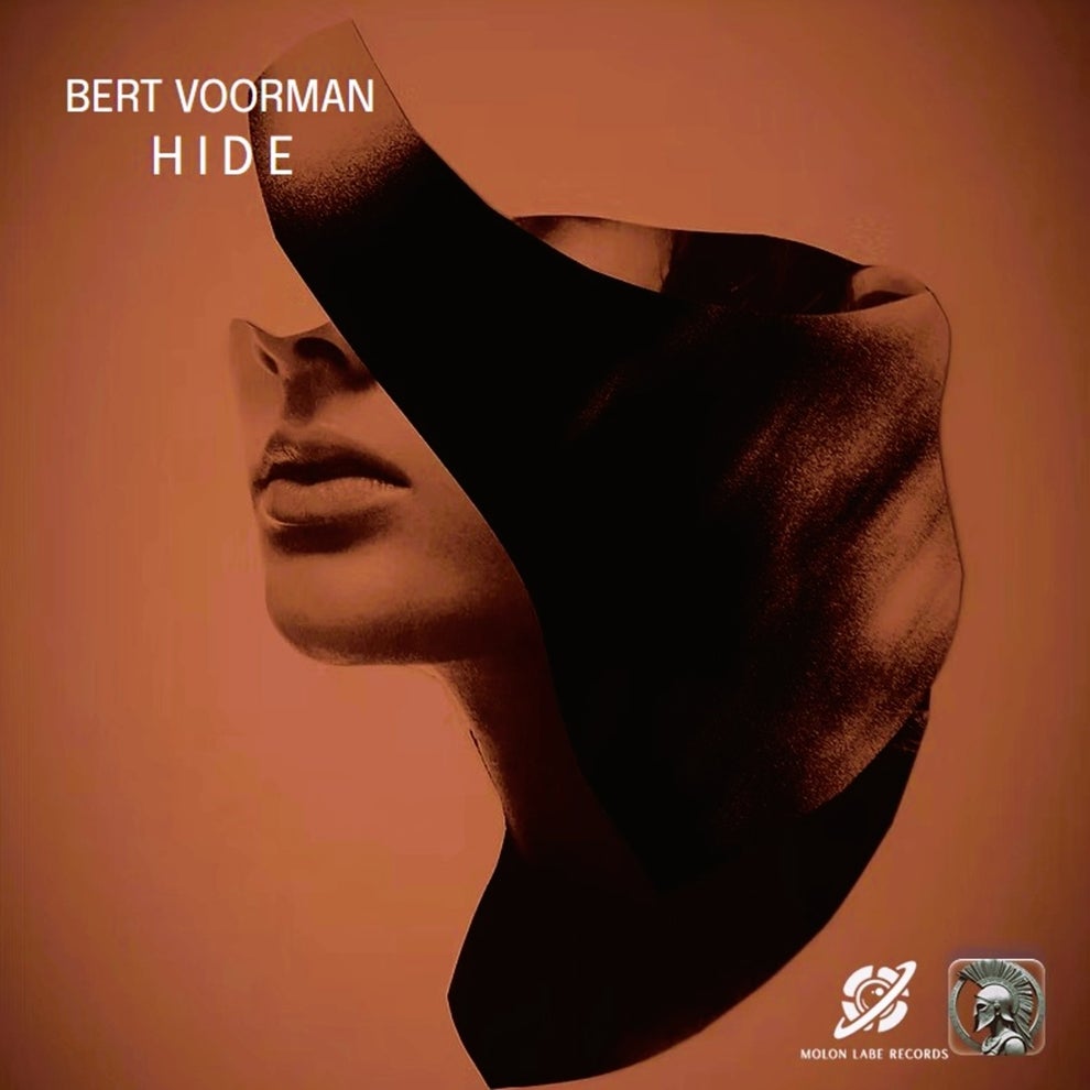 Bert Voorman - Hide
