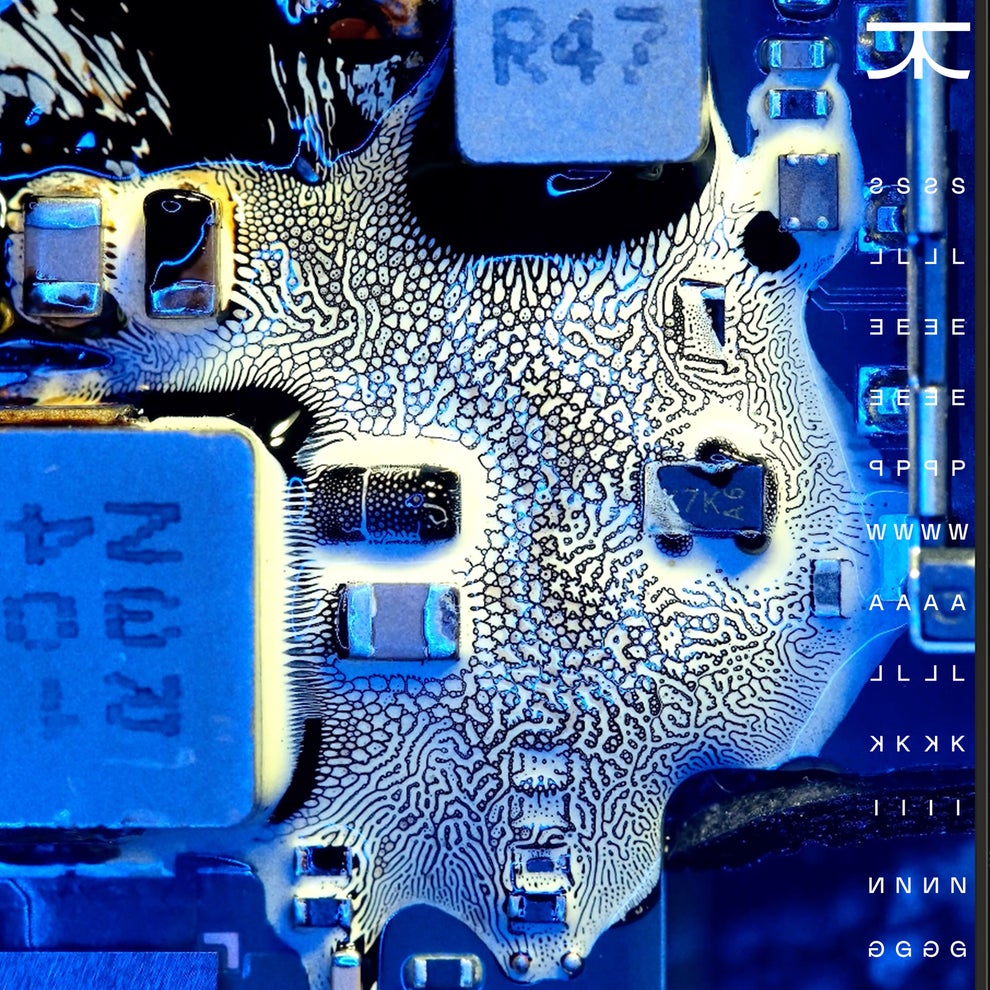 512a645d-3cee-4d17-b3f8-3f8b6c7df8b4.jpg