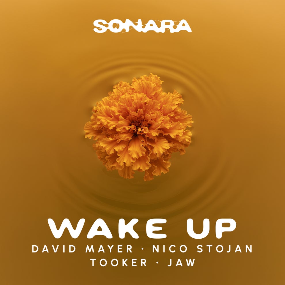 David Mayer Nico Stojan Jaw Tooker - Wake Up