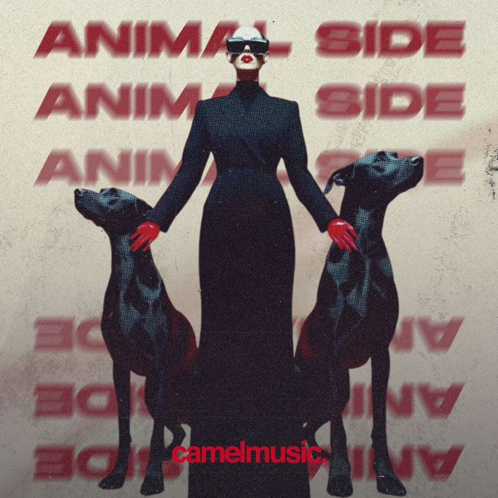 VA - Animal Side Vol. 5