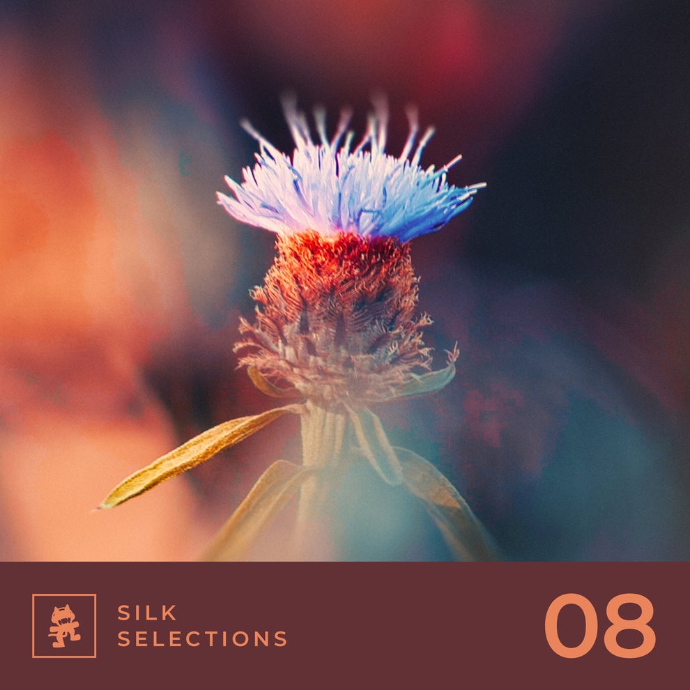 VA - Silk Selections 08