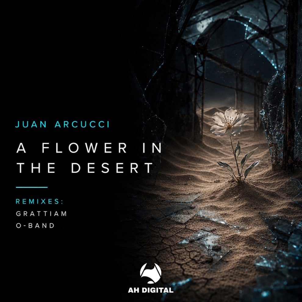 Juan Arcucci - A Flower in the Desert