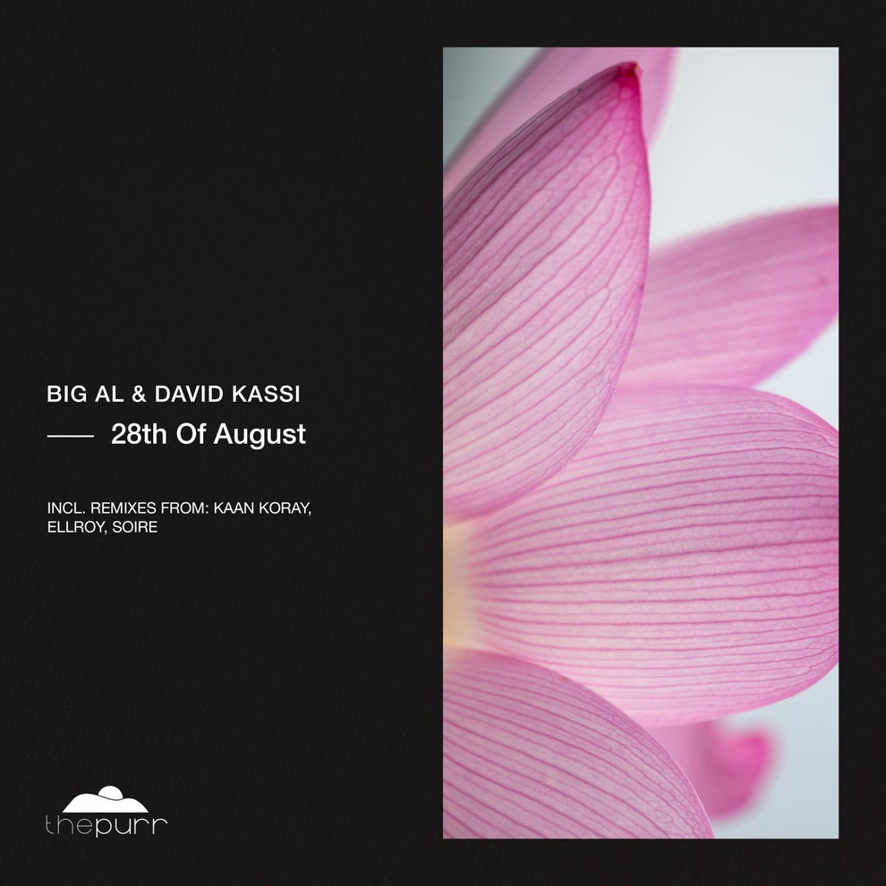 BiG AL David Kassi - 28th of August