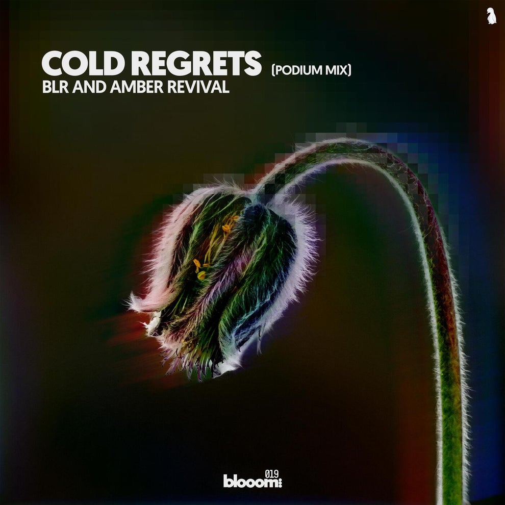 BLR  Amber Revival - Cold Regrets (Podium Mix)