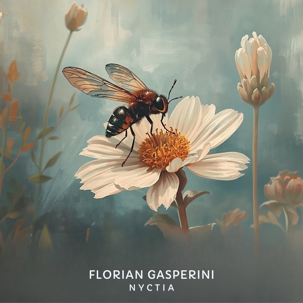Florian Gasperini - Nyctia
