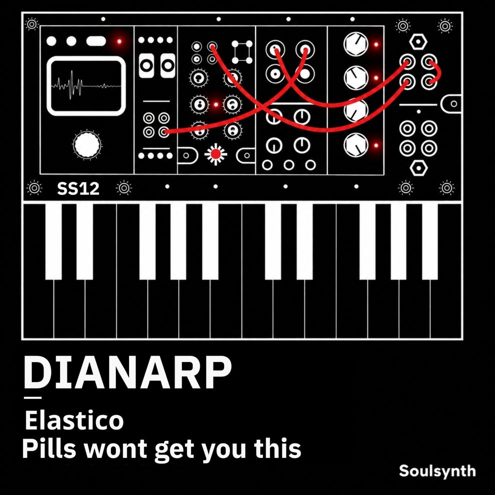 Dianarp - Soulsynth 12