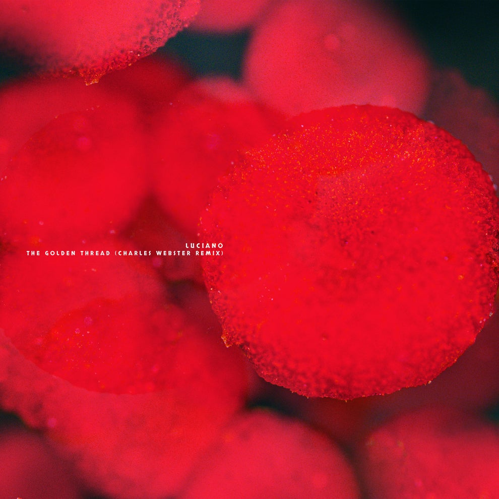 Luciano (CL) - The Golden Thread (Charles Webster Remix)