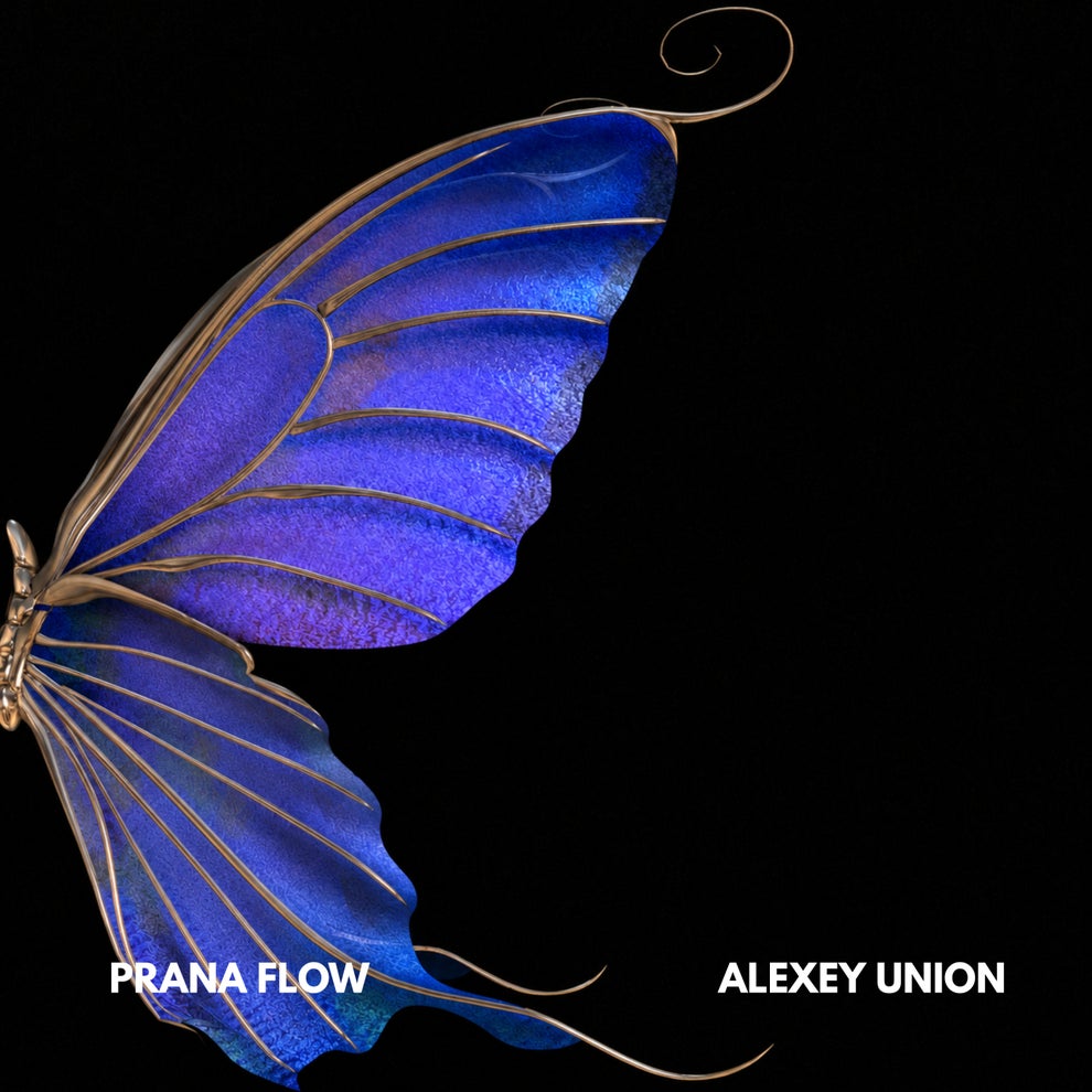 BOg - La Noche (Prana Flow  Alexey Union Remix)